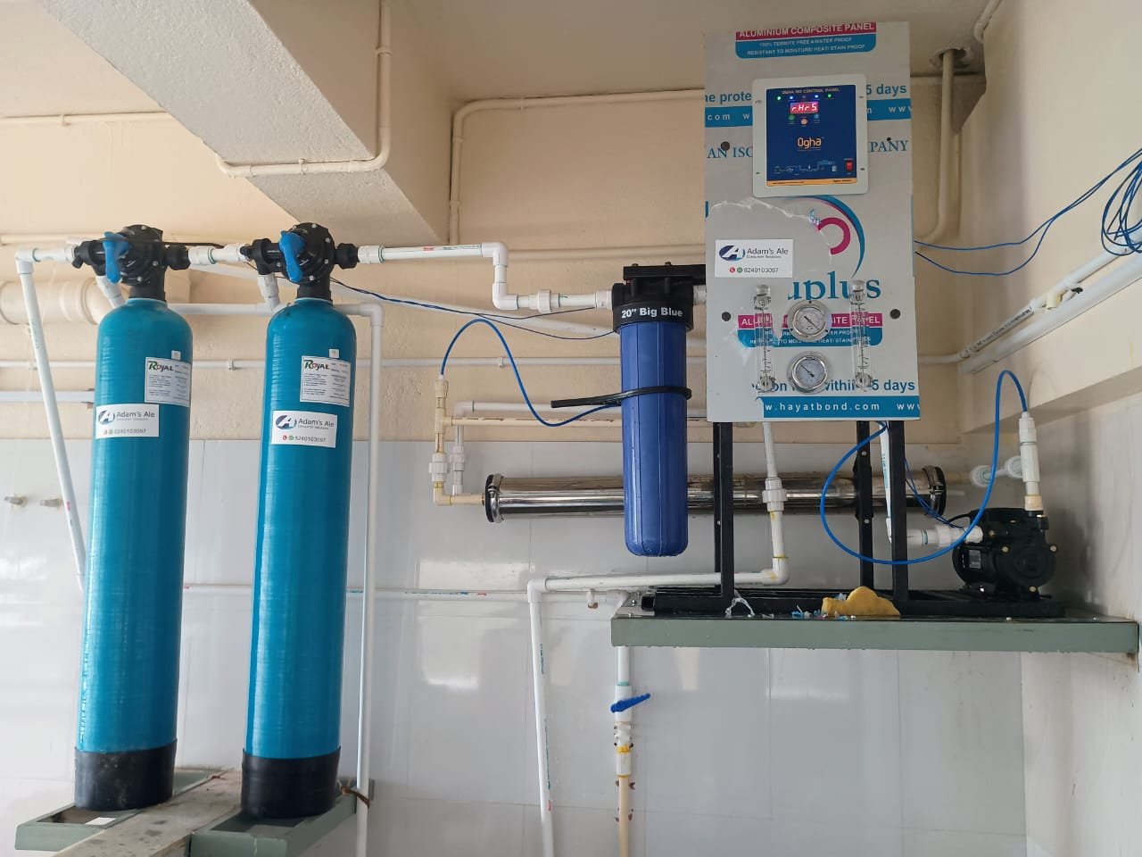 Plant Servicing 3
